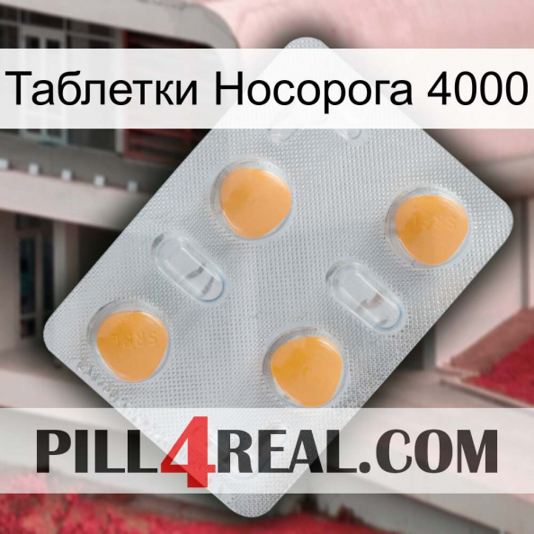 Таблетки Носорога 4000 24.jpg